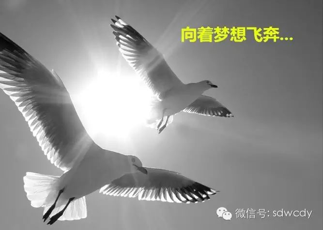 苏州网站建设选择苏州菜根谭网络科技,苏州竞价搜索推广为您报道:世上没有什么比努力更能走向成功的捷径了 苏州网站建设选择苏州菜根谭网络科技,苏州竞价搜索推广为您报道:世上没有什么比努力更能走向成功的捷径了
