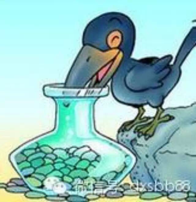 新版乌鸦喝水,太内涵了