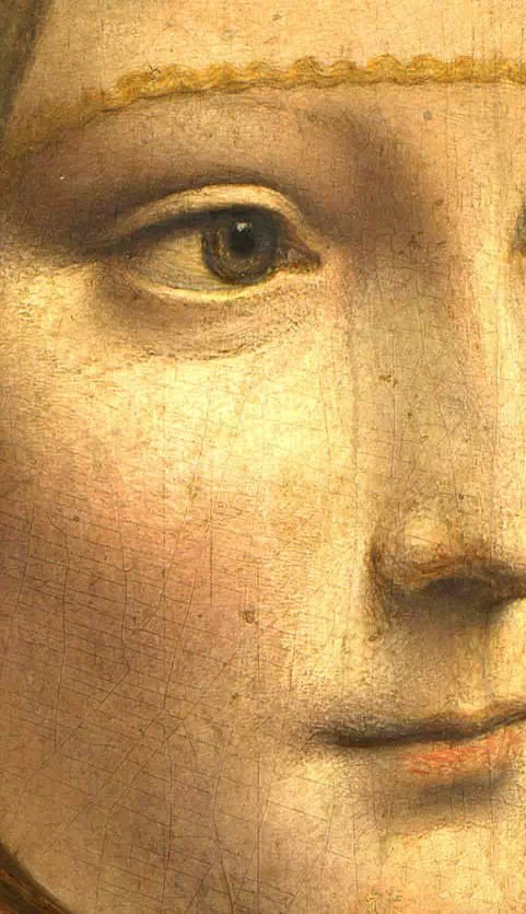 比蒙娜丽莎更神秘！详解达芬奇《抱银鼠的女人》