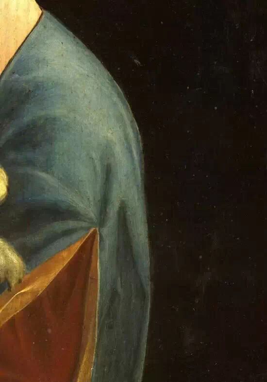 比蒙娜丽莎更神秘！详解达芬奇《抱银鼠的女人》