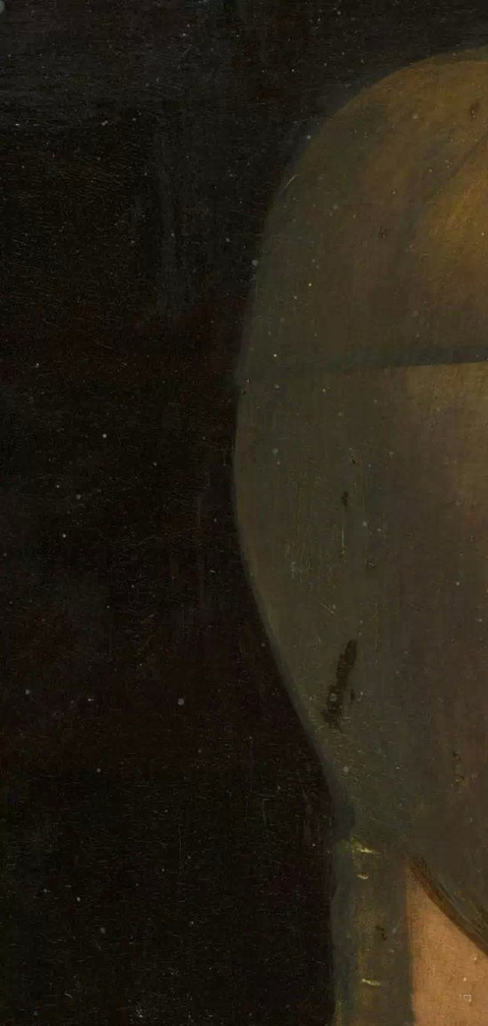 比蒙娜丽莎更神秘！详解达芬奇《抱银鼠的女人》