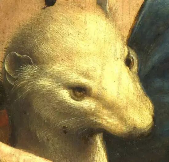 比蒙娜丽莎更神秘！详解达芬奇《抱银鼠的女人》