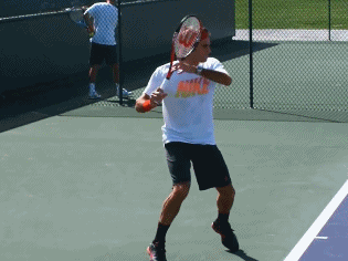 请问金星老师,如何评价费德勒正手动作?