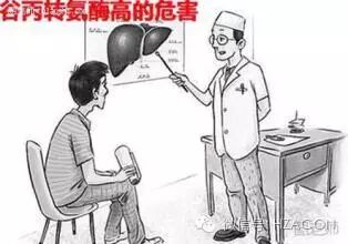 干式生化什么意思【ACON产品秀】干式生化法检测ALT在血液初筛中的应用_https://www.jmylbn.com_新闻资讯_第3张