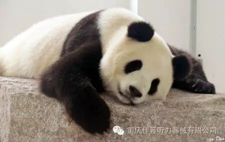 单耳佩戴助听器就足够了吗？