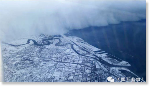 不说你都不知道，昨天在北美下了一场多惨绝人寰的大雪……
