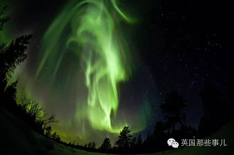 昨晚地球上出大事了！ 英國、瑞典、挪威、俄羅斯、加拿大、美國都震驚了！ - suay123“阿慶嫂” - 阿慶嫂歡迎來自遠方的好友！