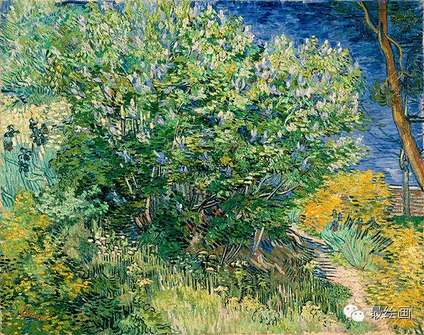 梵高的畫(四)