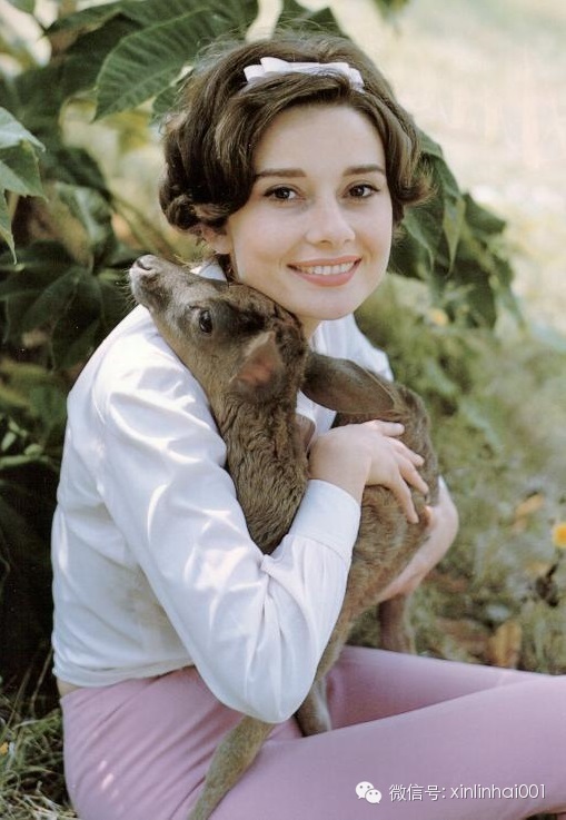 靈魂伴侶：最美的她依舊最美 - 李昌海 - 昌海的藍色海灘