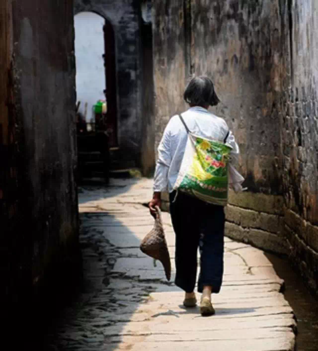 伟大的放弃：一个真实的故事