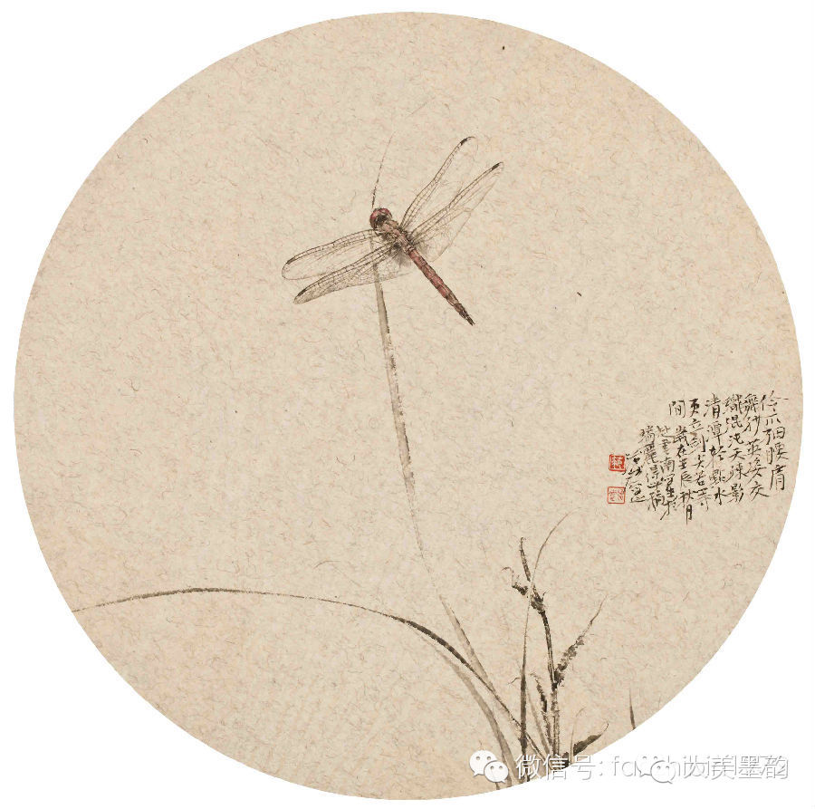 【大美墨韵】"雕虫"小记---范治斌画蜻蜓记