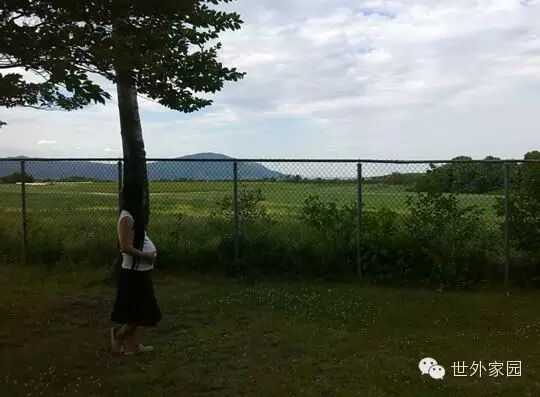 净觉居士拍打拉筋:我的备孕、孕期急症、产后恢复记-怀孕期