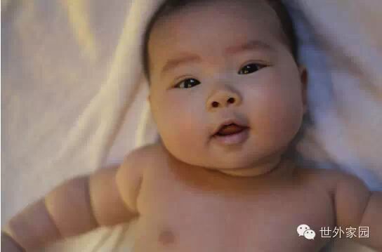 净觉居士拍打拉筋:我的备孕、孕期急症、产后恢复记-怀孕期