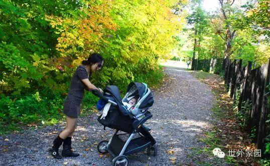 净觉居士拍打拉筋:我的备孕、孕期急症、产后恢复记-怀孕期