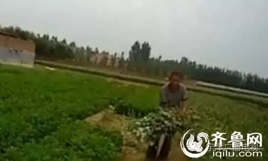 【震惊】宁津大柳镇这个老大爷不好好种地,摊上事了吧!...