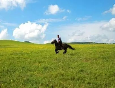 乌兰图雅的这首《红红的萨日朗》好听的根本停不下来!