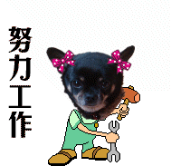 工作时间一长,姐就后悔晚上太晚睡觉了,整天一个累字了得!