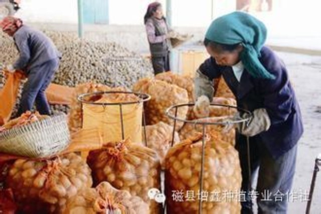 左权县旅游景点_左权县农民人均收入