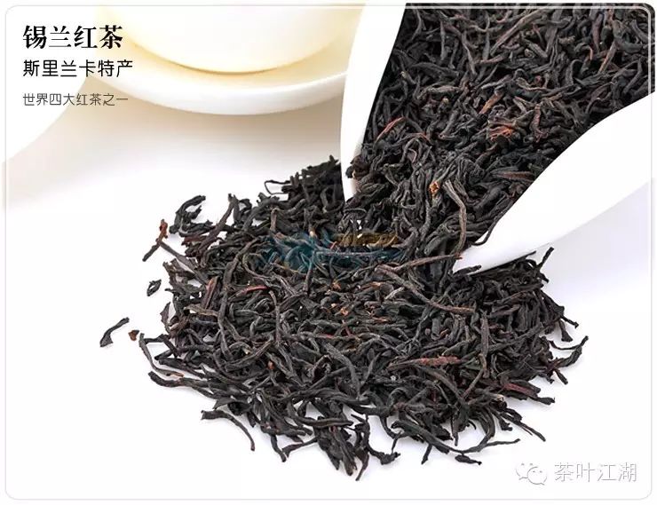 干货丨红茶的主要品种有哪些?