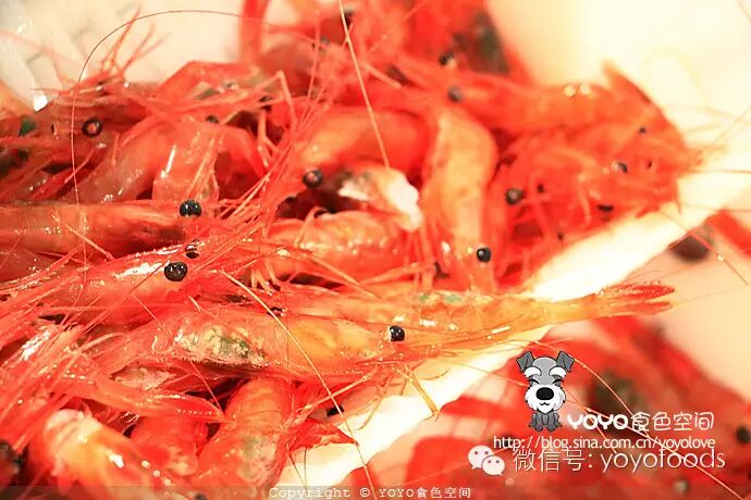 【北大西洋海捕记】海洋大虾号北极虾捕捞船