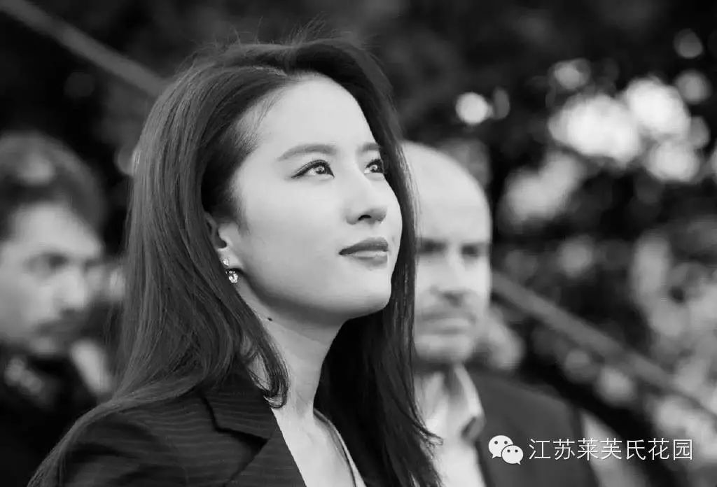 刘亦菲|淡妆浓抹总相宜,出席时尚大秀也有自己独特的魅力