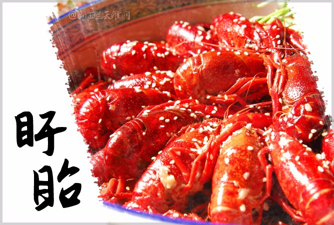 新西兰与中国的姐妹城市