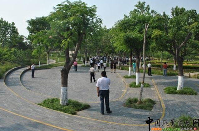 今年唐山这些道路和公园,绿化有大动作