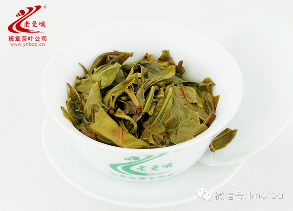 走近云南古茶山——老曼峨