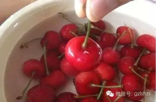 【转载】你敢吃樱桃吗?看谁还在秀摘樱桃吃的照片 - 爱梦晓 - xbdxyx的博客 你敢吃樱桃吗?看谁还在秀摘樱桃吃的照片 - suay123“阿庆嫂” - 阿庆嫂欢迎来自远方的好友!