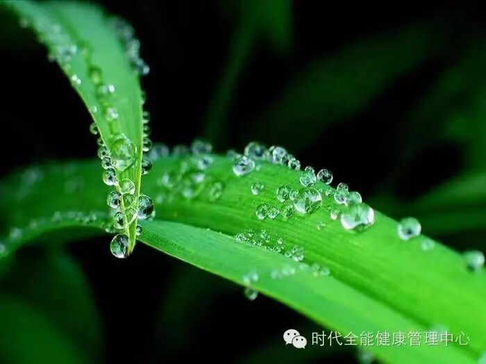张国荣告别演唱会上的一段演讲..
