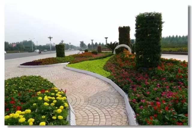 【花坛设计】园林花卉植物应用大全