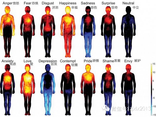心理学与生活：了解你的身体情绪热量图(图3)