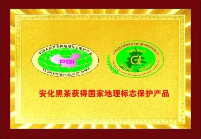 十个你最想知道的安化黑茶小常识