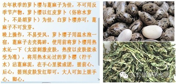 【春三月】除春瘟 <wbr> <wbr>蓖麻籽与大红萝卜樱子发陈体内湿浊之气