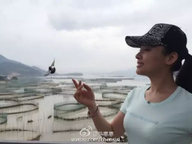 著名歌手陈思思现身霞浦