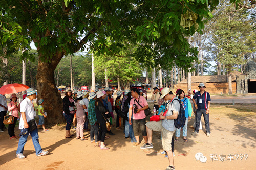 在柬埔寨随处可见这种高大茂密的阔叶树，还有充满乡土气息的黄土地！