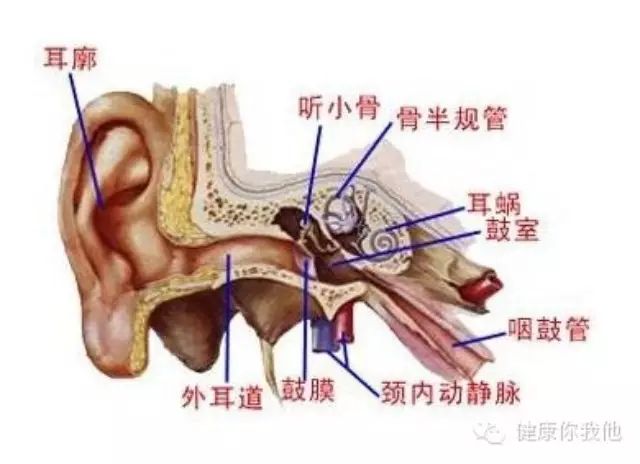 中耳炎的典型症状