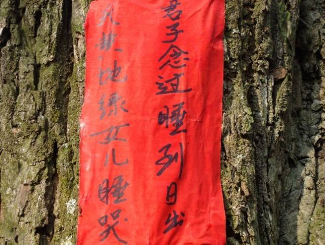 小孩受到惊吓用鸡蛋_小孩子被惊吓了用鸡蛋滚哪里_小孩受惊滚鸡蛋