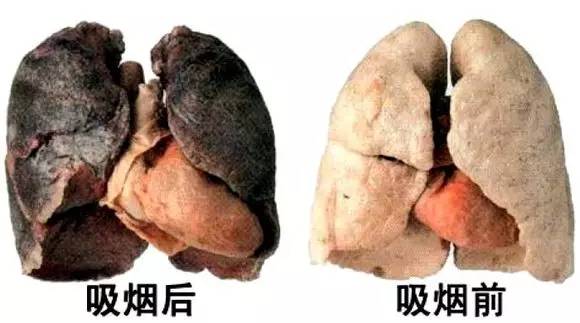 登录查看大图