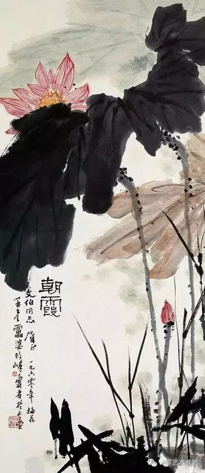 一帖集中的潘天寿画荷,精品中的精品