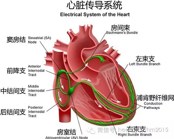 感觉心脏突然有一下没跳,这是怎么回事?之二