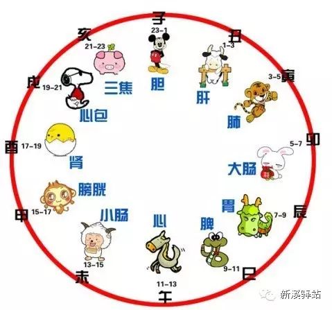 表时辰对照时间怎么算_十二时辰时间表对照表_表时辰对照时间怎么写