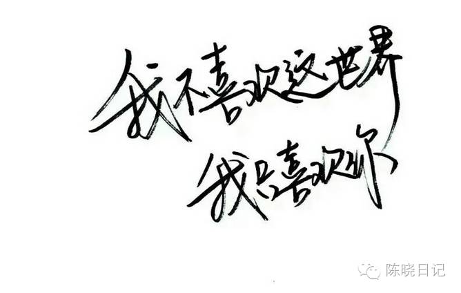 写给陈晓的15封情书,字字戳心...