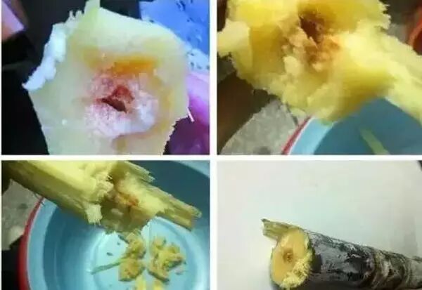 清明蔗毒过蛇，快到清明，广西各地街边的甘蔗汁要慎喝了474 / 作者:花开似花落、 / 帖子ID:113404