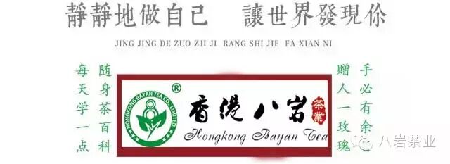 2017信阳毛尖多少钱一斤