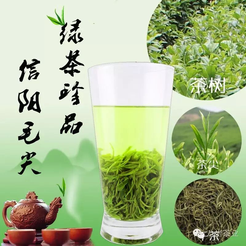 信阳毛尖多少钱一斤_信阳毛尖名气_信阳毛尖茶馆