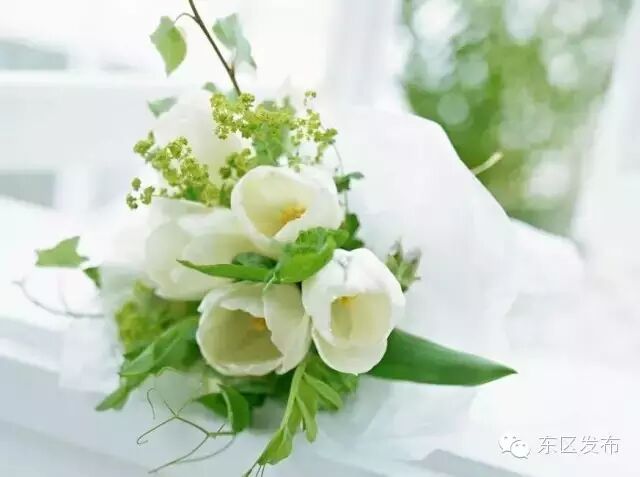 【关注】产假增加三十天,今天起这些“大事”开始影响中山人的生活!-怀孕期