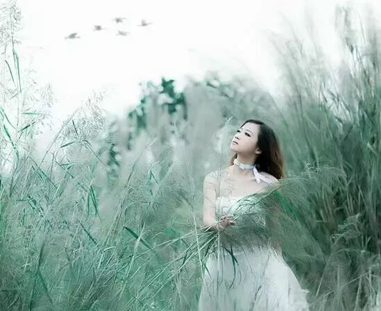 ​你所不知道的沭河古道！