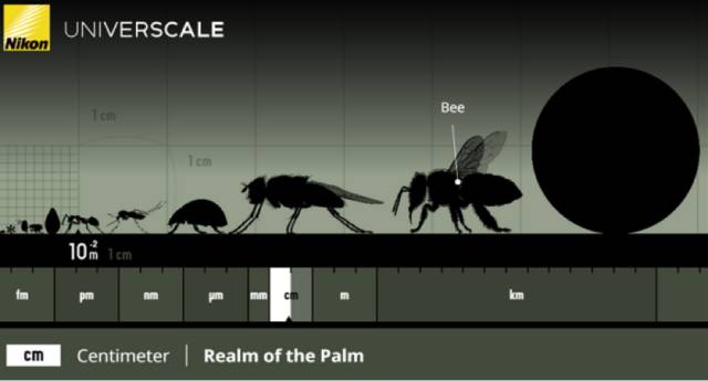 可视化脑洞|十五个数据可视化的奇妙例子