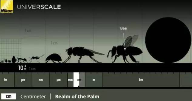 五个技巧教你用编程实现数据可视化